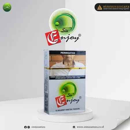Enjoy R
